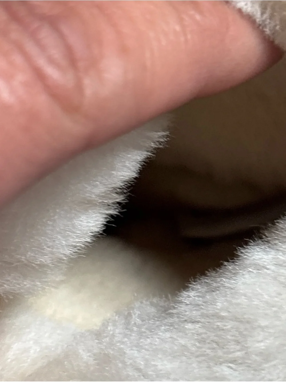UGG excellent hardly